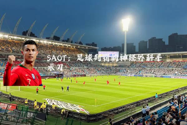 SAOT：足球判罚的神经外科手术刀